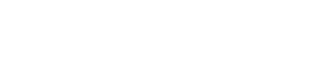 Polski Instytut Fizjoterapii i Sportu